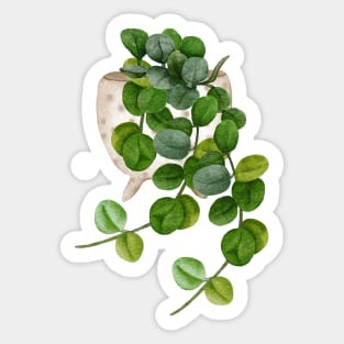 Hoya Serpens Sticker